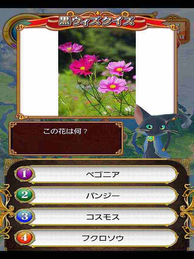 黒ウィズクイズ　この花は何？【ピンクと紫の花】　出題画像