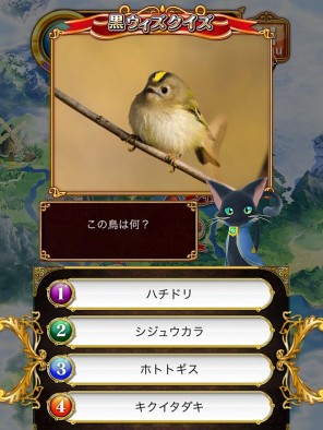 この鳥は何？【額が黄色・枝にとまっている】
