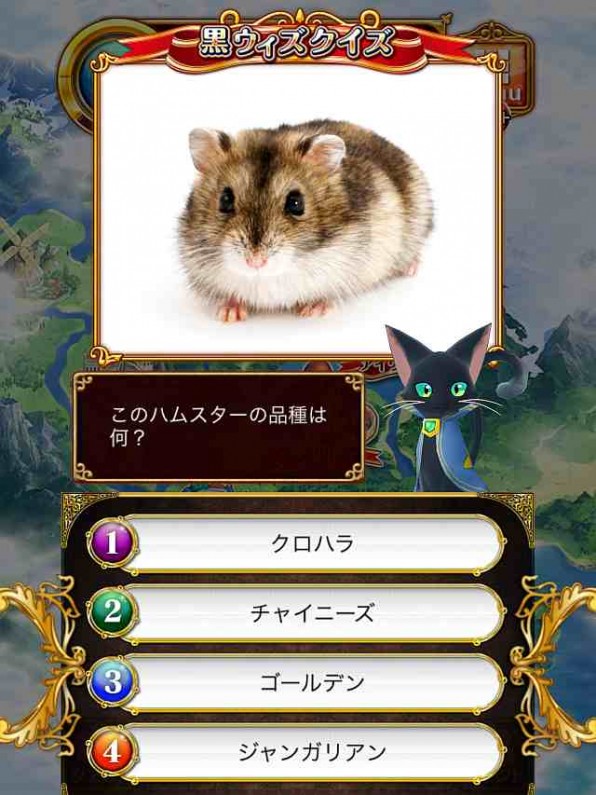 黒ウィズクイズ　このハムスターの品種は何？【茶色・白】出題画像
