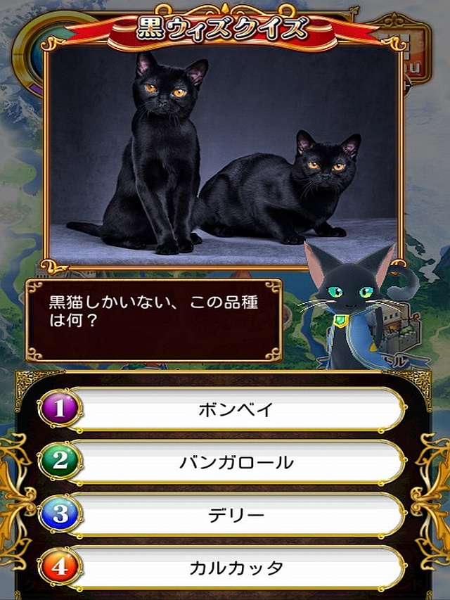 黒猫しかいない、この品種は何？