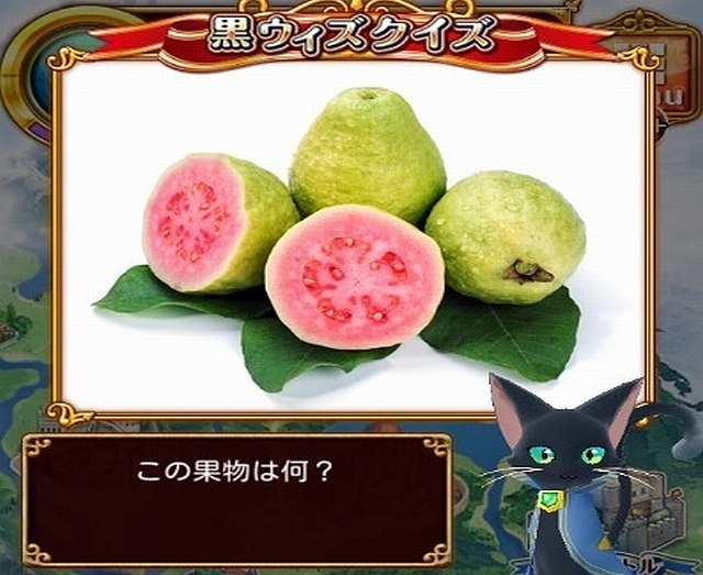 この果物は何？