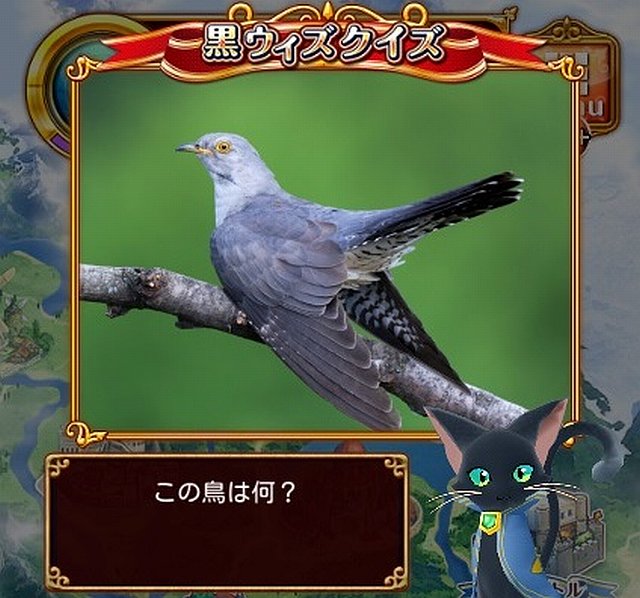 【黒ウィズクイズ】この鳥は何？