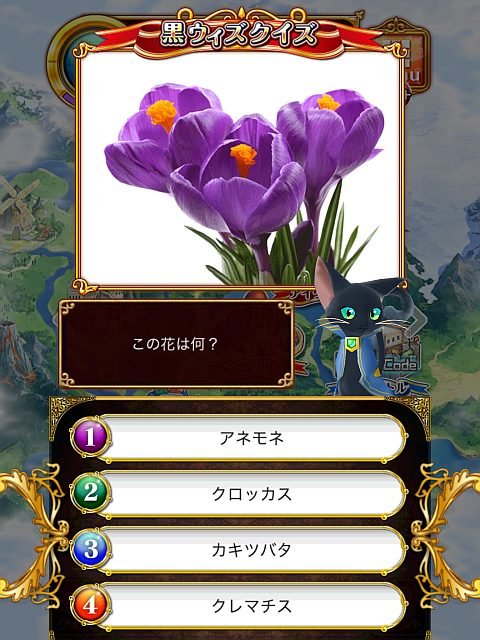 この花は何?【紫の花・黄色】