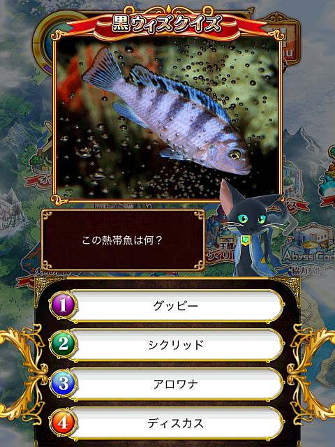 この熱帯魚は何?【たくさんの泡】